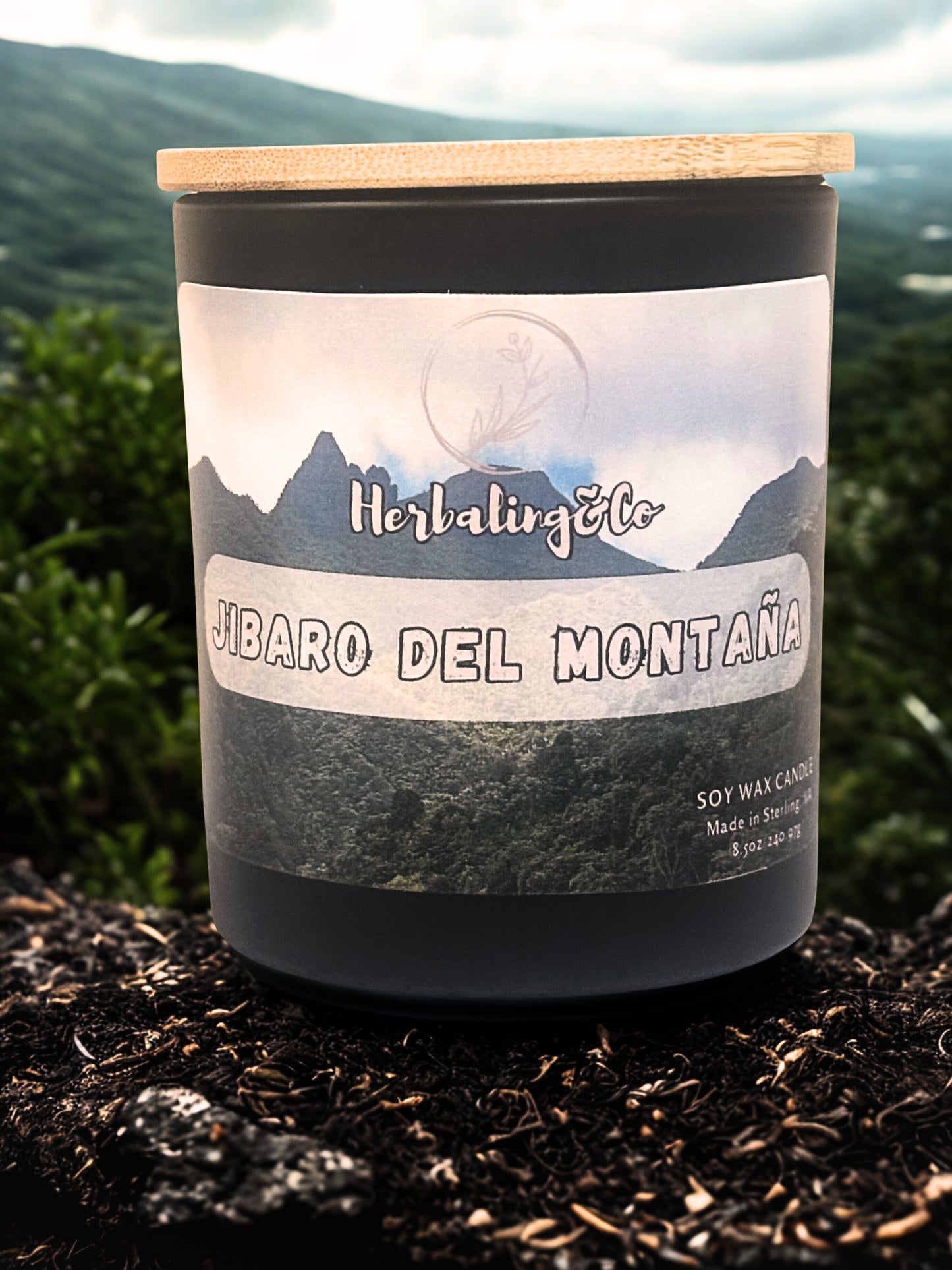 JIBARO DEL MONTANA