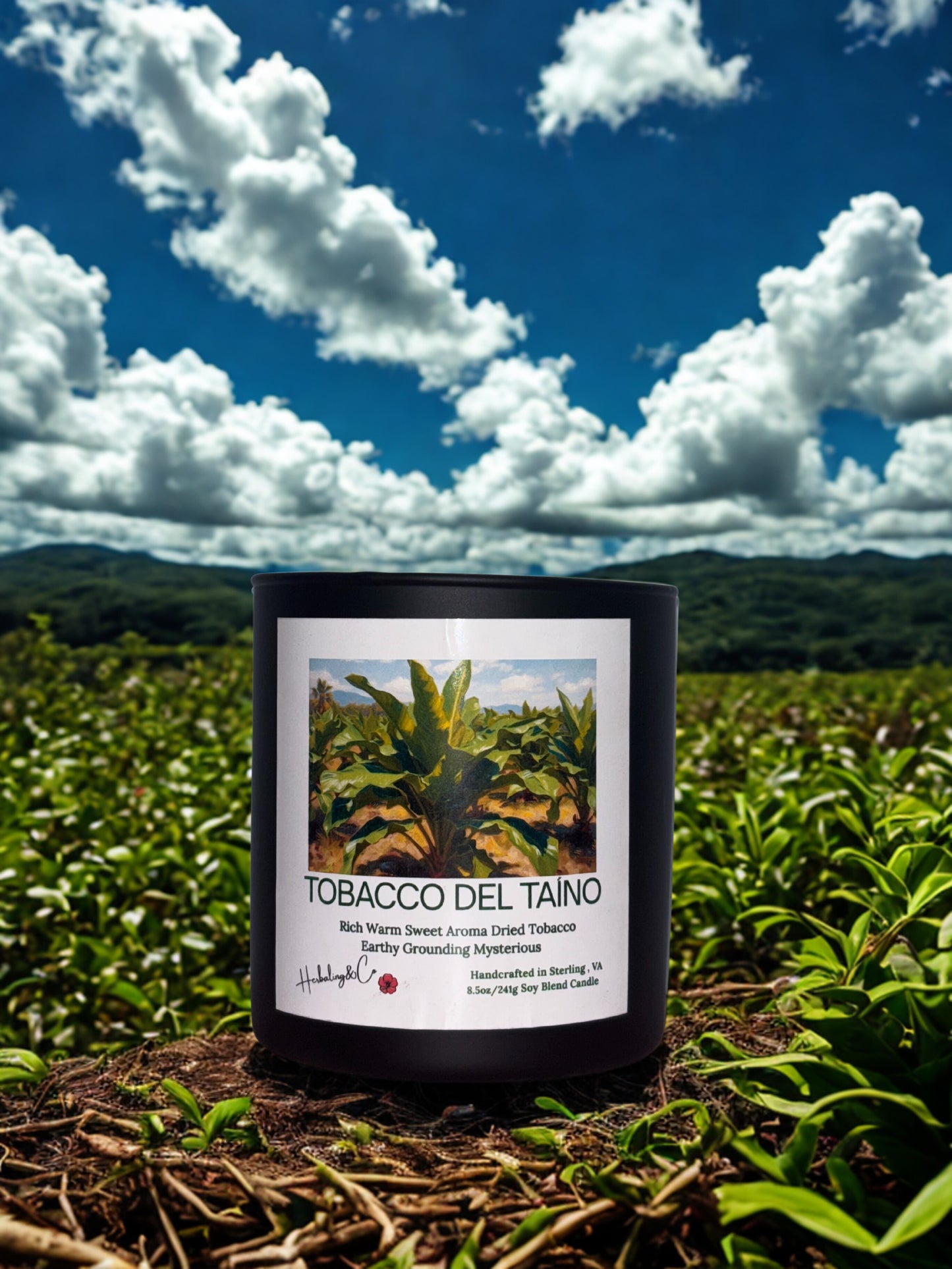 TOBACCO DEL TAINO