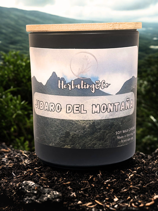 JIBARO DEL MONTANA