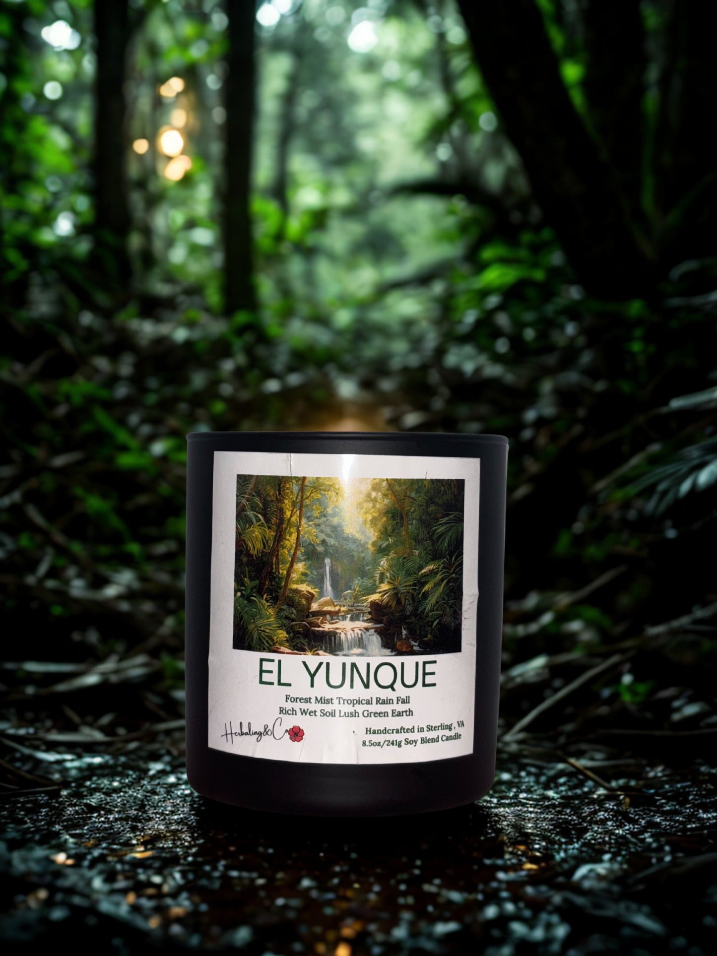 EL YUNQUE