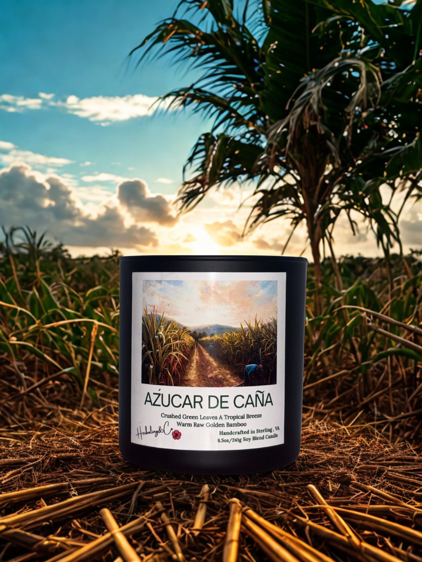 AZUCAR DEL CAÑA